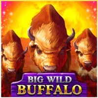 game logo by Belatra Games on yaycasino.eu